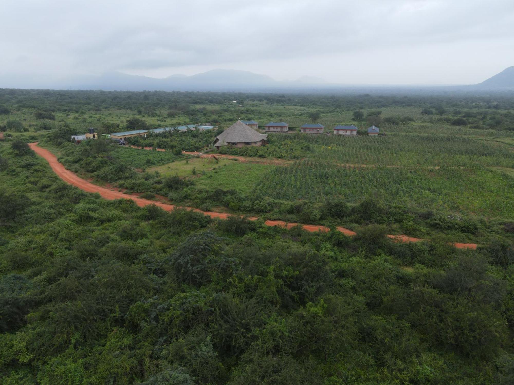 Tausa Tsavo Eco Lodge Voi Luaran gambar