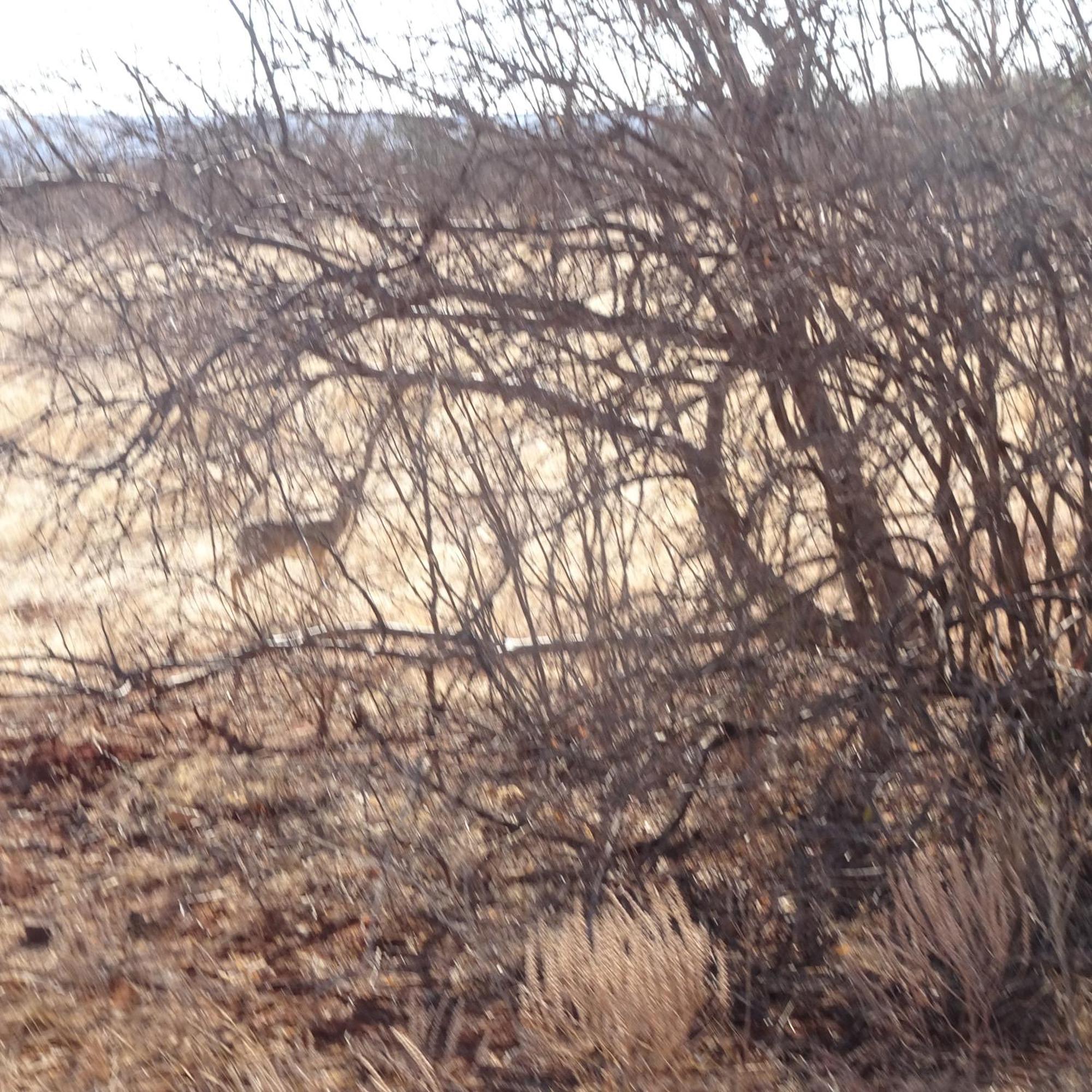 Tausa Tsavo Eco Lodge Voi Luaran gambar